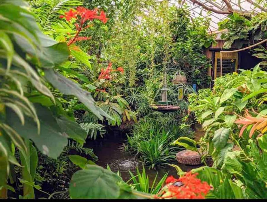 Hidden Gem !Stunning 3 Bedroom Home In Sheffield Handsworth Eksteriør bilde